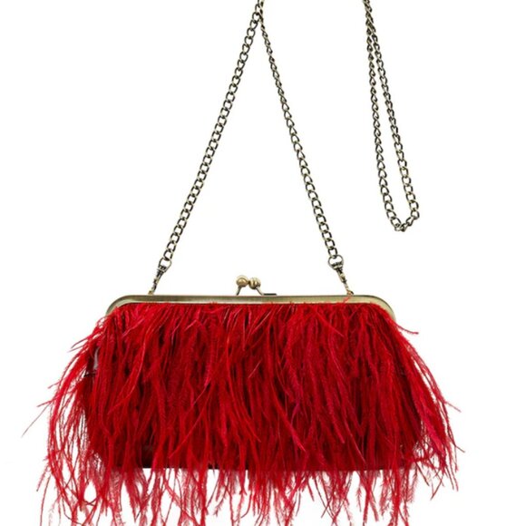 Patricia Nash Ruby Red Leather Ostrich Feather Frame Bag NWT - Picture 1 of 12